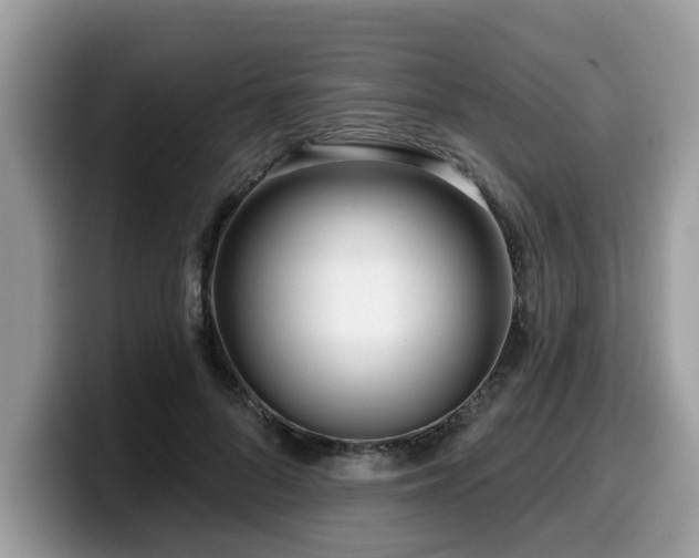 X0000099960696200805301314
