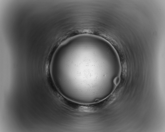 X0000099960699200805301314
