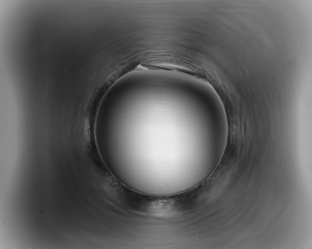 X0000099960700200805301314