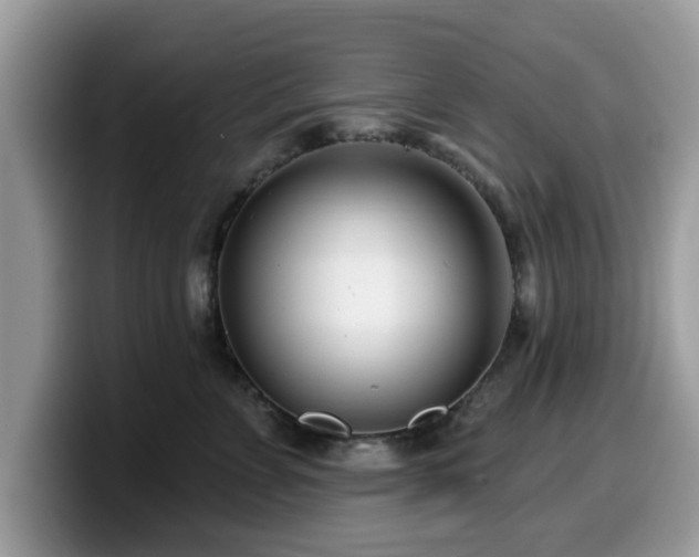X0000099960715200805301314