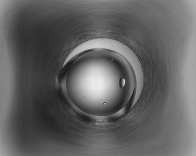 X0000099960720200805301314