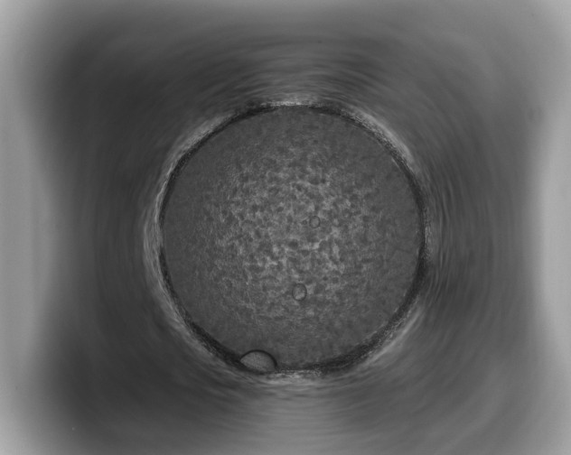 X0000099960721200805301313