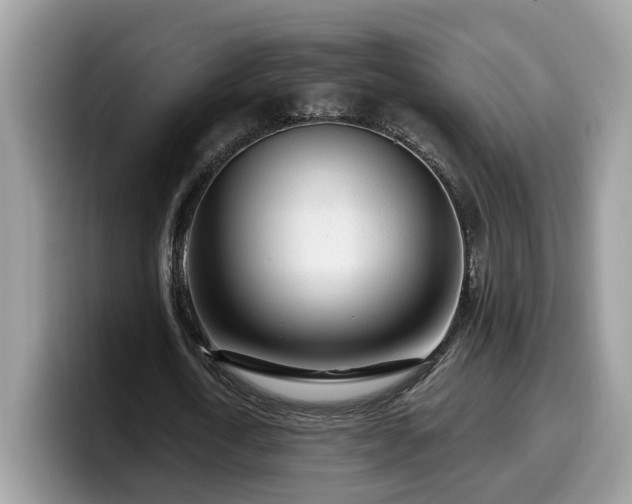 X0000099960722200805301313