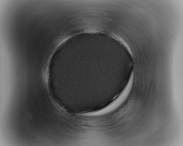 X0000099960724200805301313