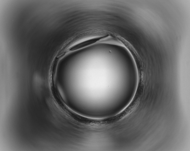 X0000099960725200805301313