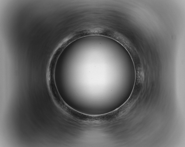 X0000099960726200805301313