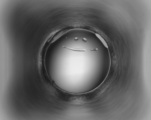 X0000099960727200805301313