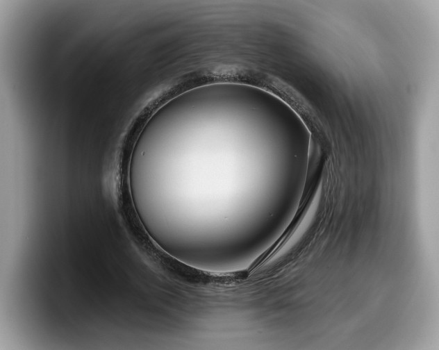 X0000099960728200805301313