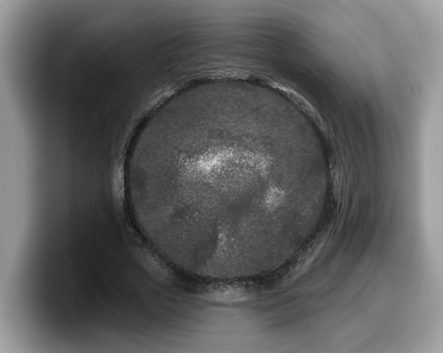 X0000099960729200805301313