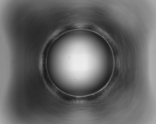 X0000099960730200805301313