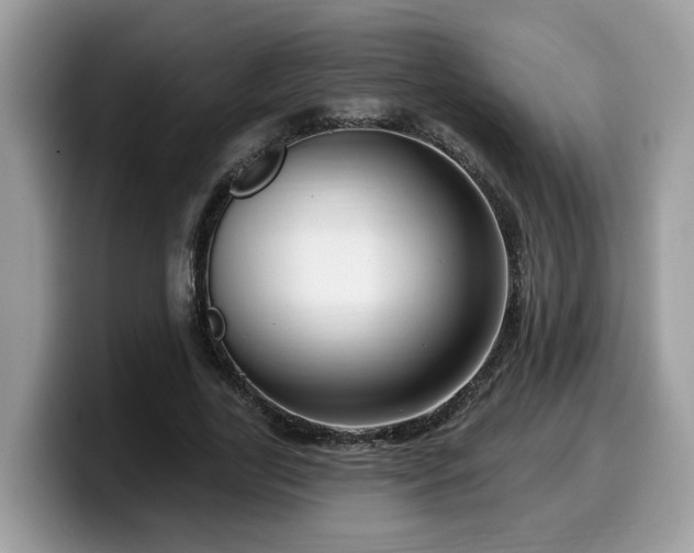 X0000099960731200805301313
