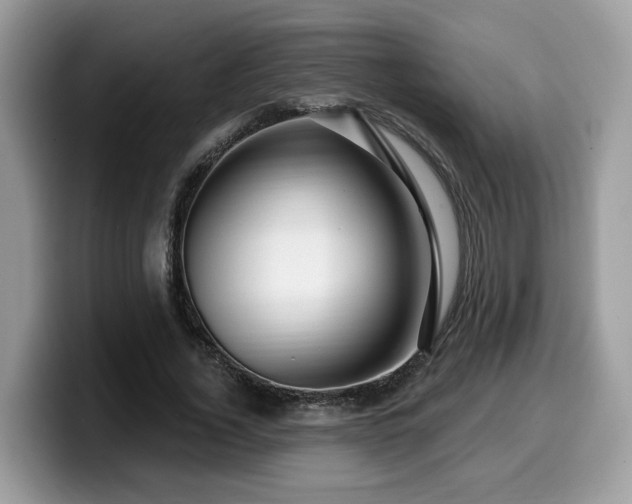 X0000099960732200805301313