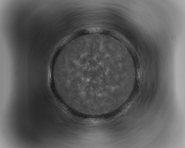 X0000099960733200805301313