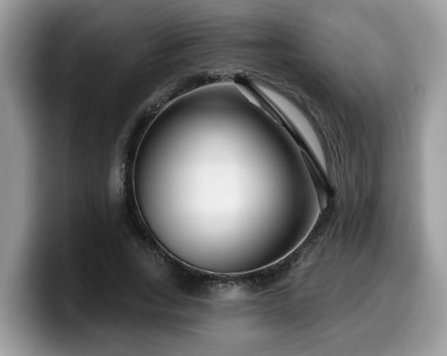 X0000099960735200805301313