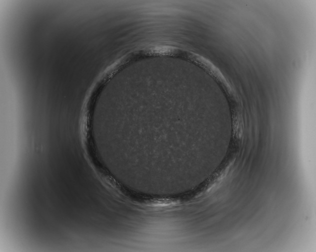 X0000099960736200805301313