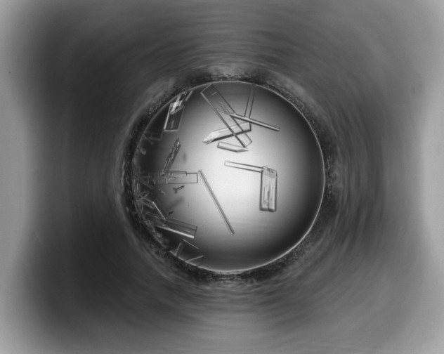 X0000099960738200805301313