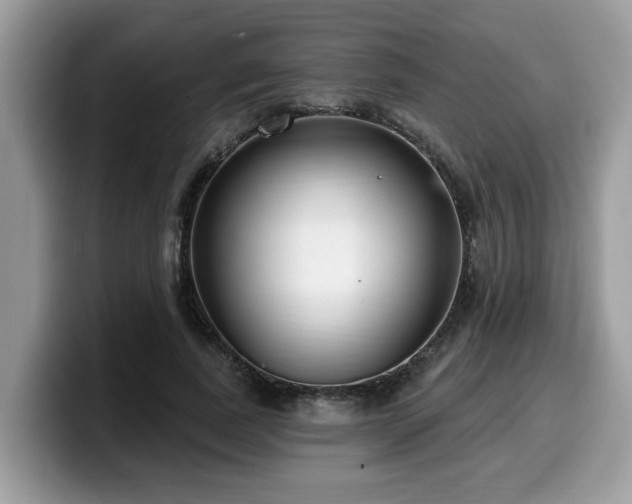 X0000099960739200805301313