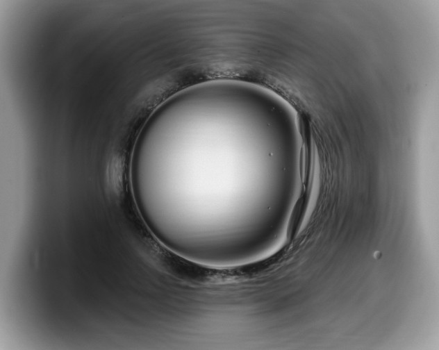 X0000099960742200805301313