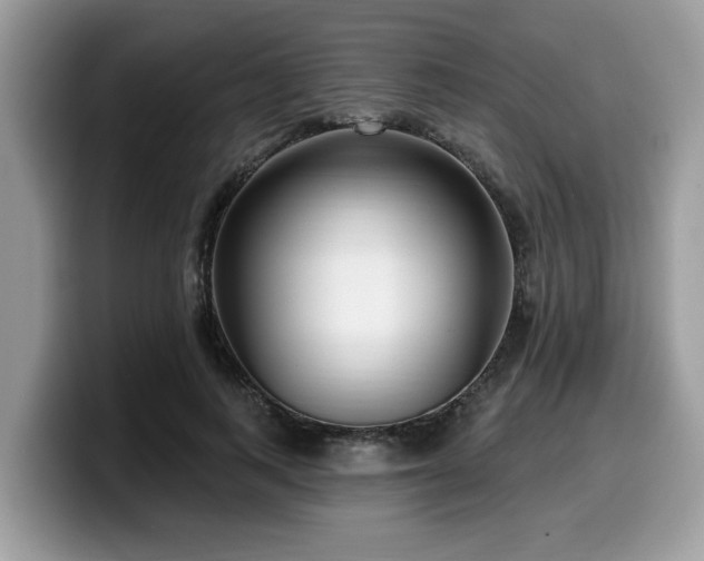 X0000099960743200805301313