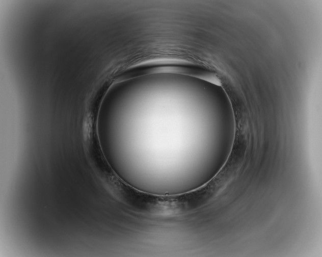 X0000099960744200805301313
