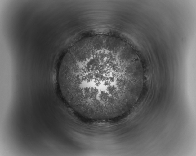 X0000099960745200805301313