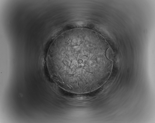 X0000099960746200805301313