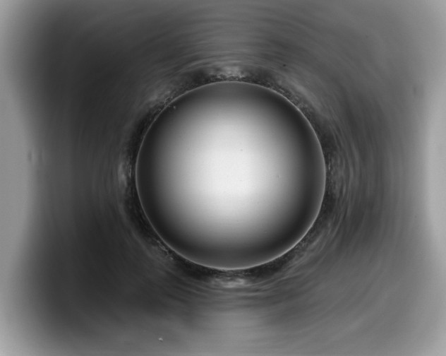 X0000099960747200805301313