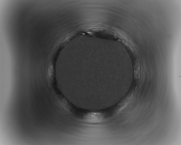 X0000099960748200805301313
