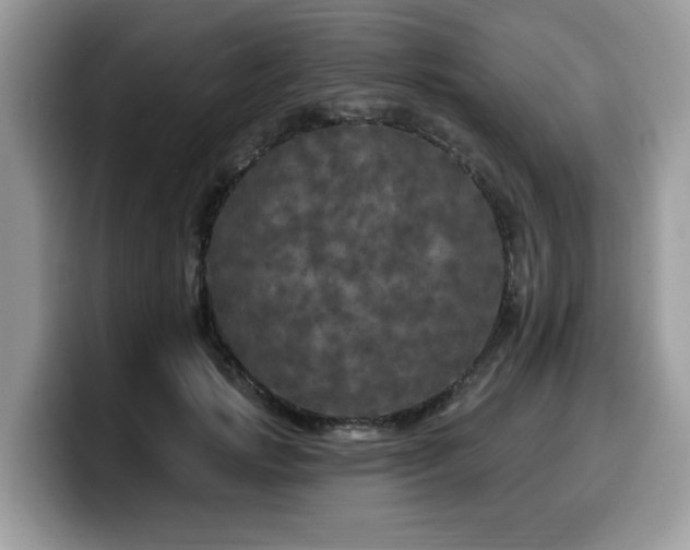 X0000099960749200805301313