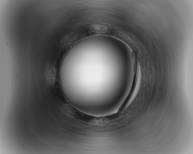 X0000099960752200805301313