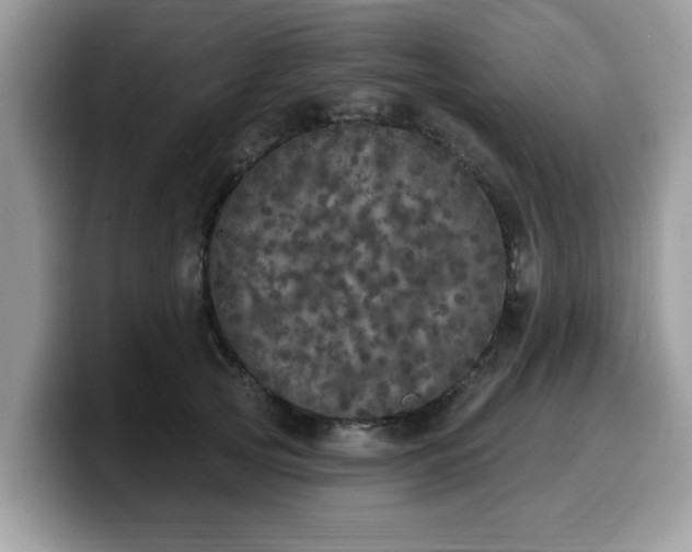 X0000099960753200805301313