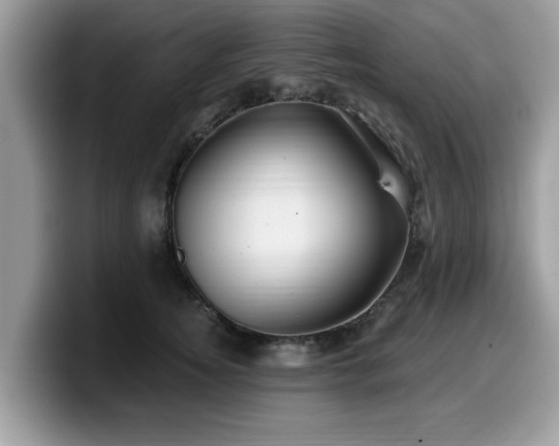 X0000099960756200805301313
