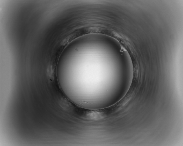 X0000099960759200805301313
