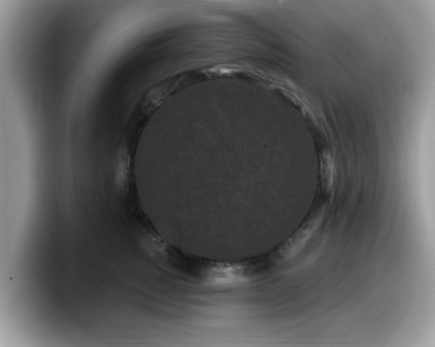 X0000099960760200805301314