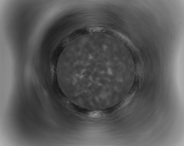 X0000099960761200805301314