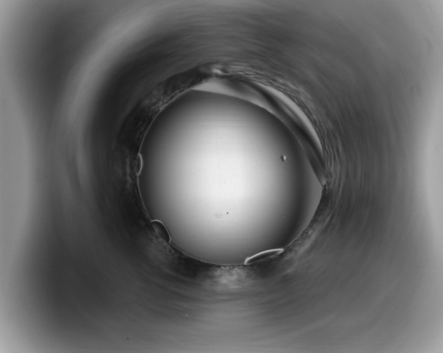 X0000099960762200805301314