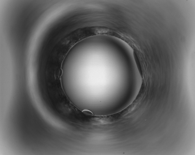 X0000099960763200805301314
