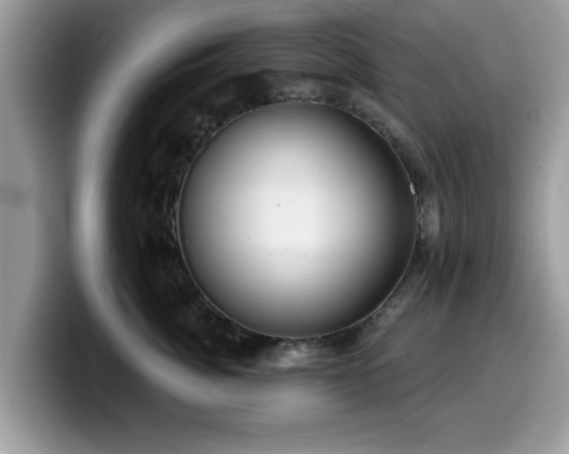 X0000099960764200805301314
