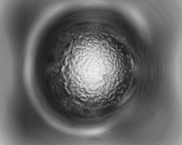 X0000099960765200805301314