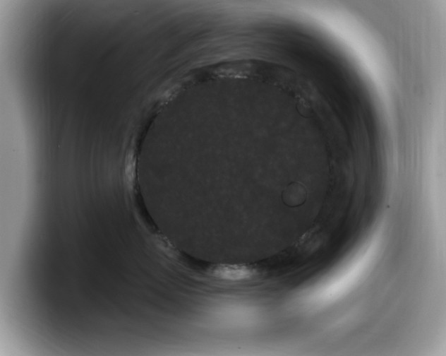X0000099960767200805301314