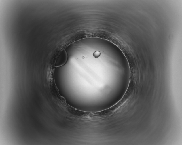 X0000099960770200805301313