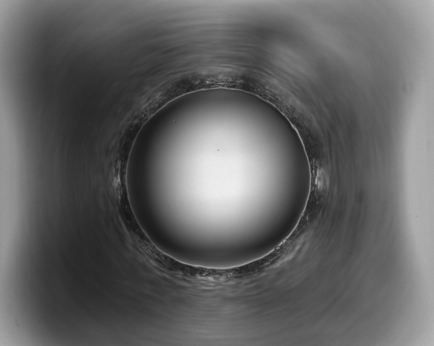 X0000099960771200805301313
