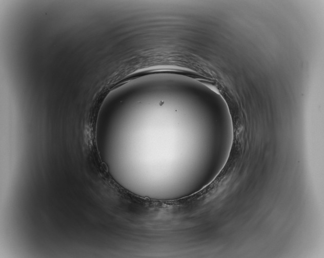 X0000099960772200805301313