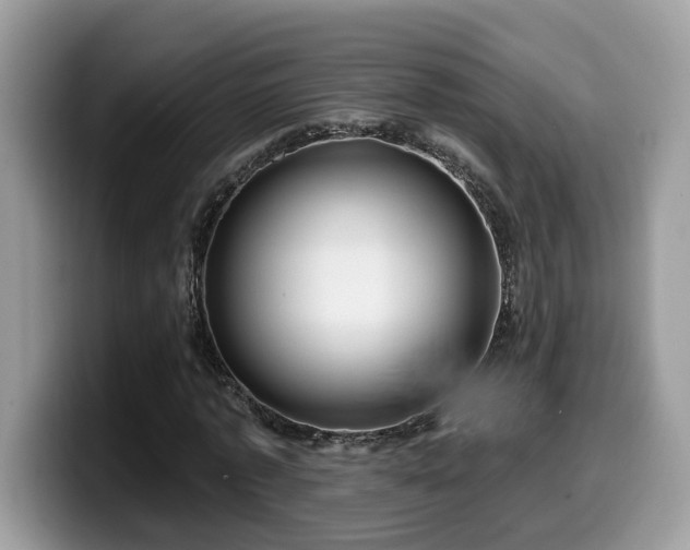 X0000099960773200805301313
