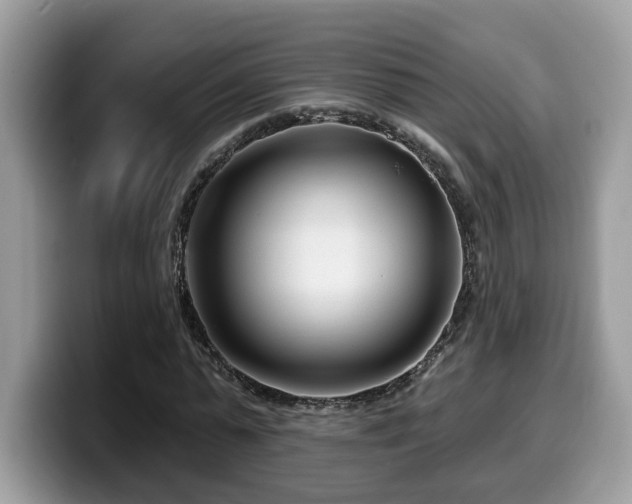 X0000099960775200805301313