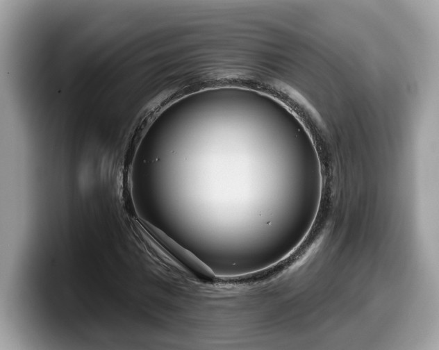 X0000099960777200805301313