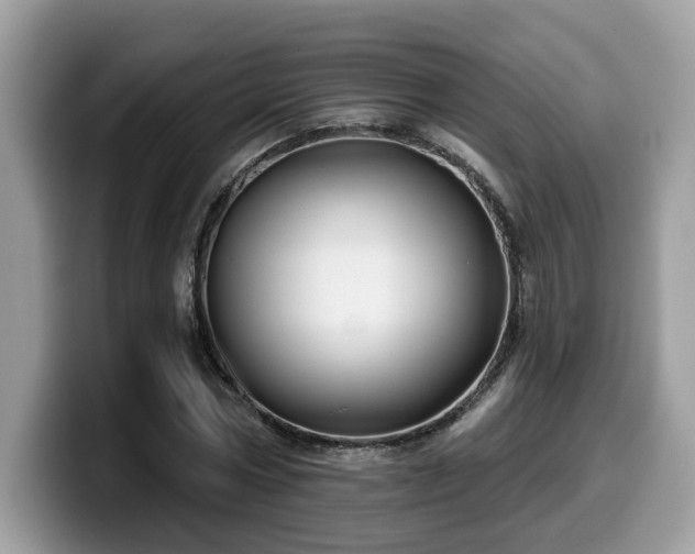 X0000099960778200805301313