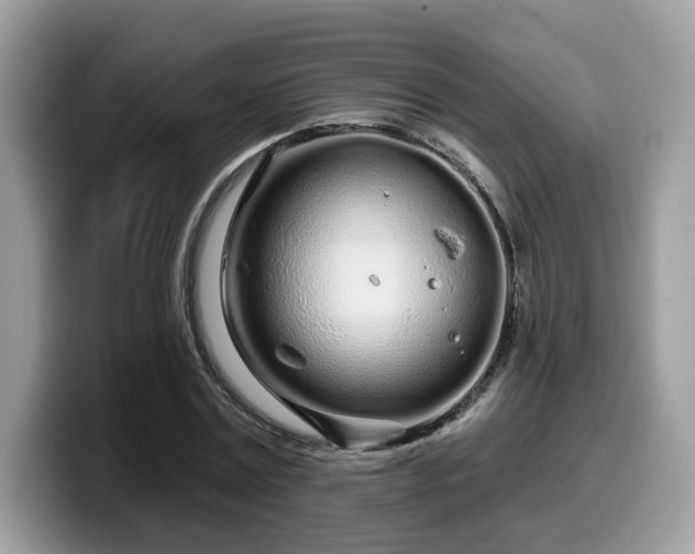 X0000099960779200805301313