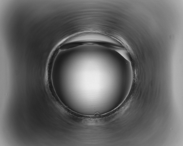 X0000099960780200805301313