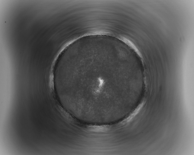 X0000099960781200805301313